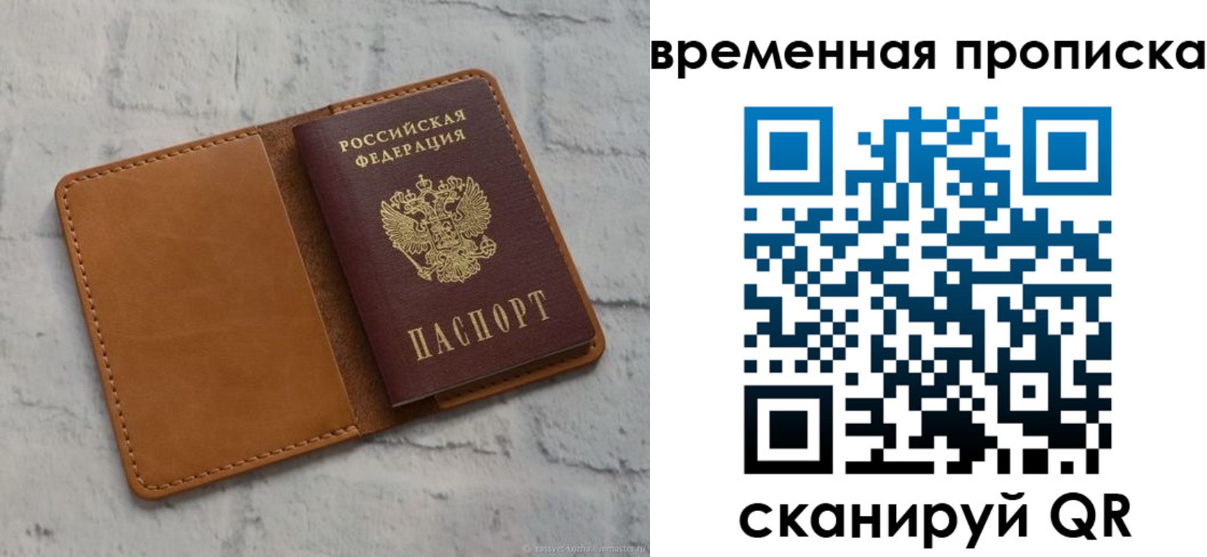 прописка поиск в Камешково