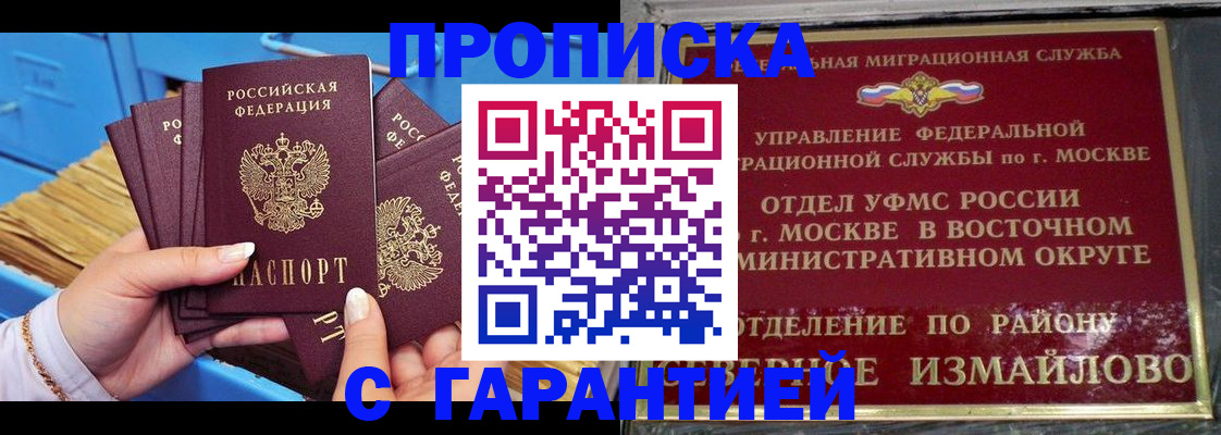 прописка поиск в Камешково